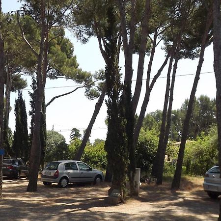 Rvapartaments Treumal Park Platja d'Aro Εξωτερικό φωτογραφία