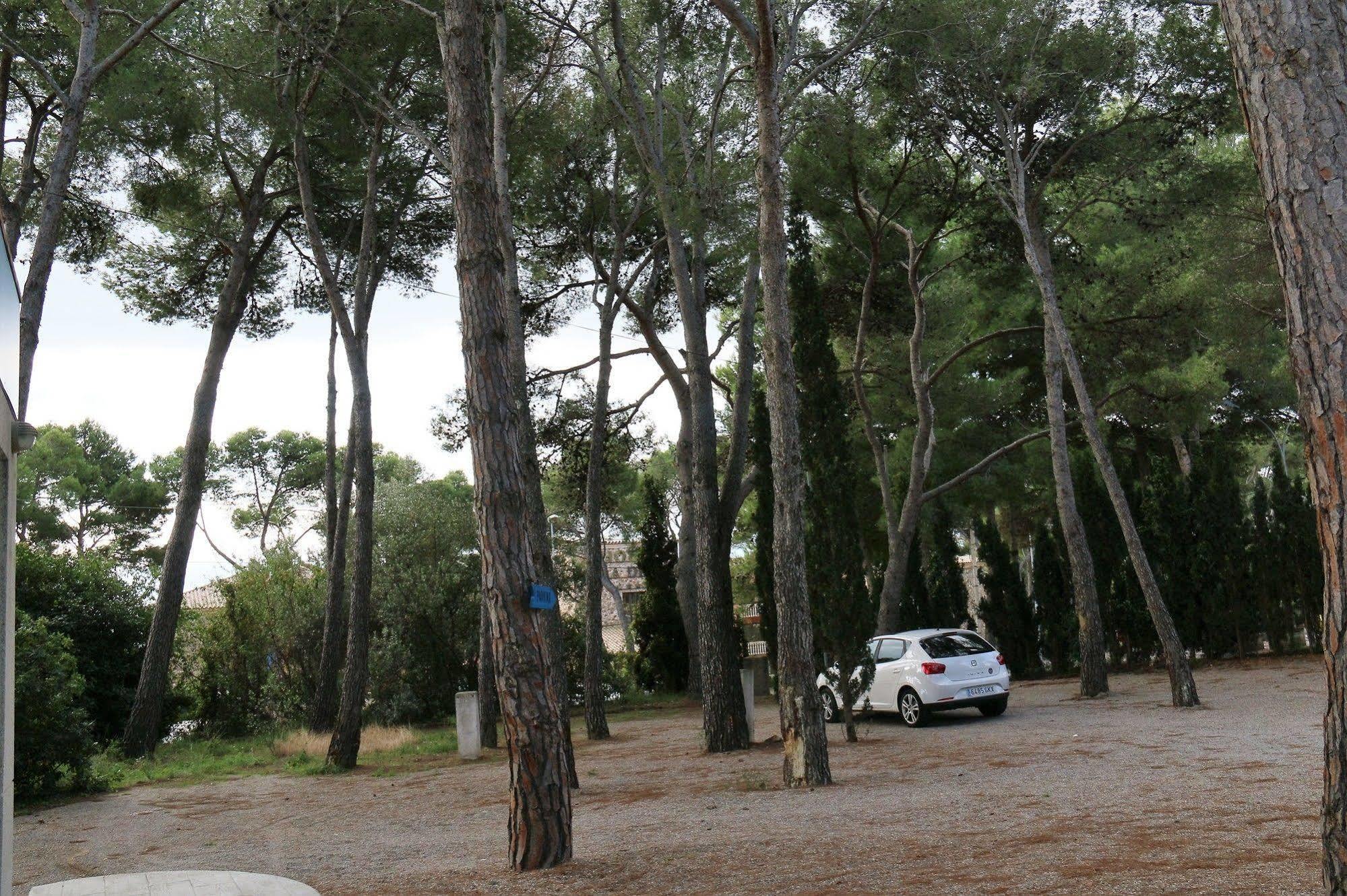 Rvapartaments Treumal Park Platja d'Aro Εξωτερικό φωτογραφία